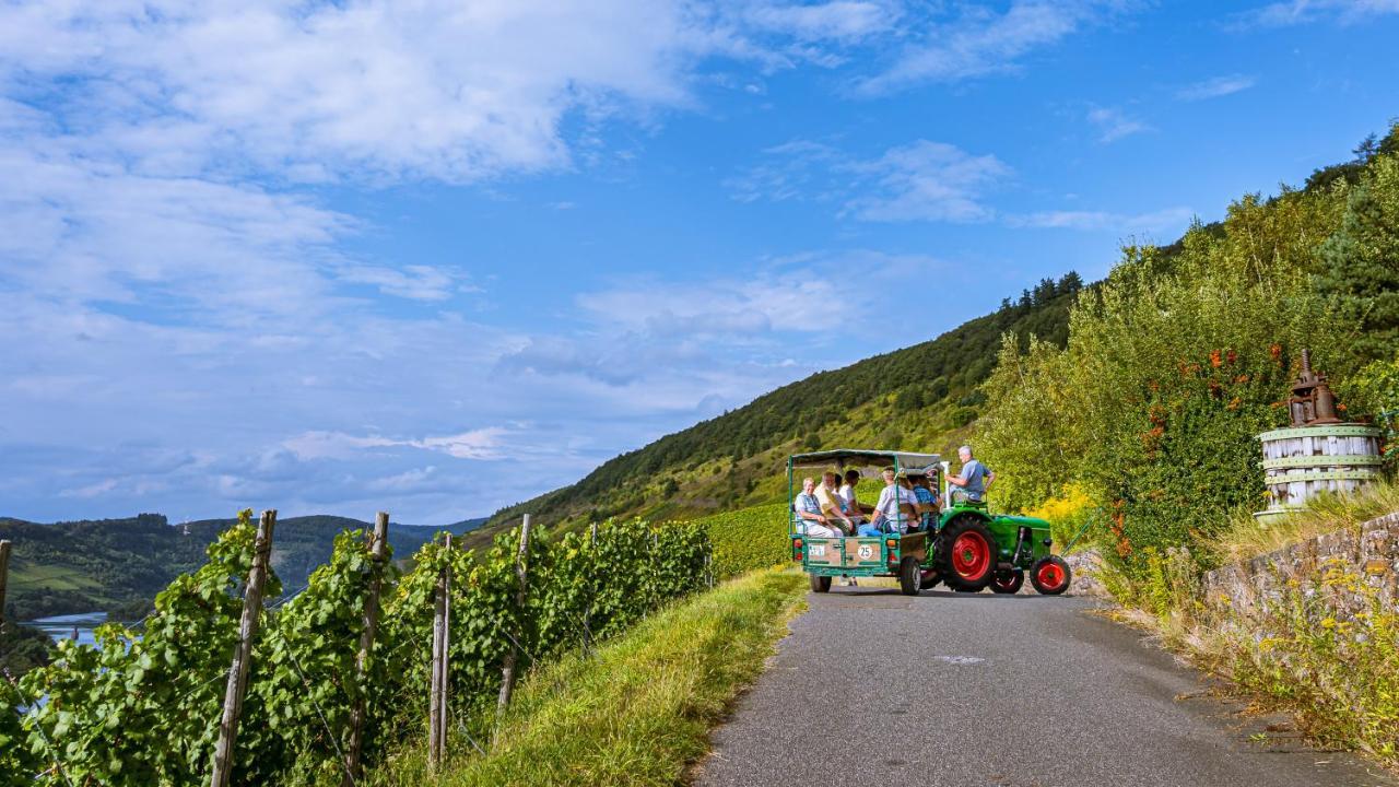 Ferienweingut Hirschen Schulstrasse Bed & Breakfast Burg  Luaran gambar