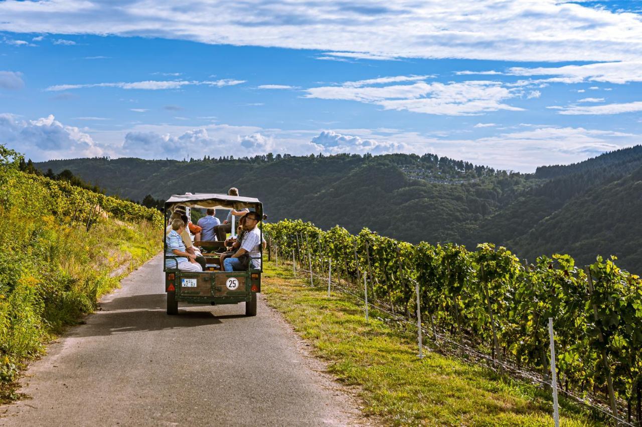 Ferienweingut Hirschen Schulstrasse Bed & Breakfast Burg  Luaran gambar