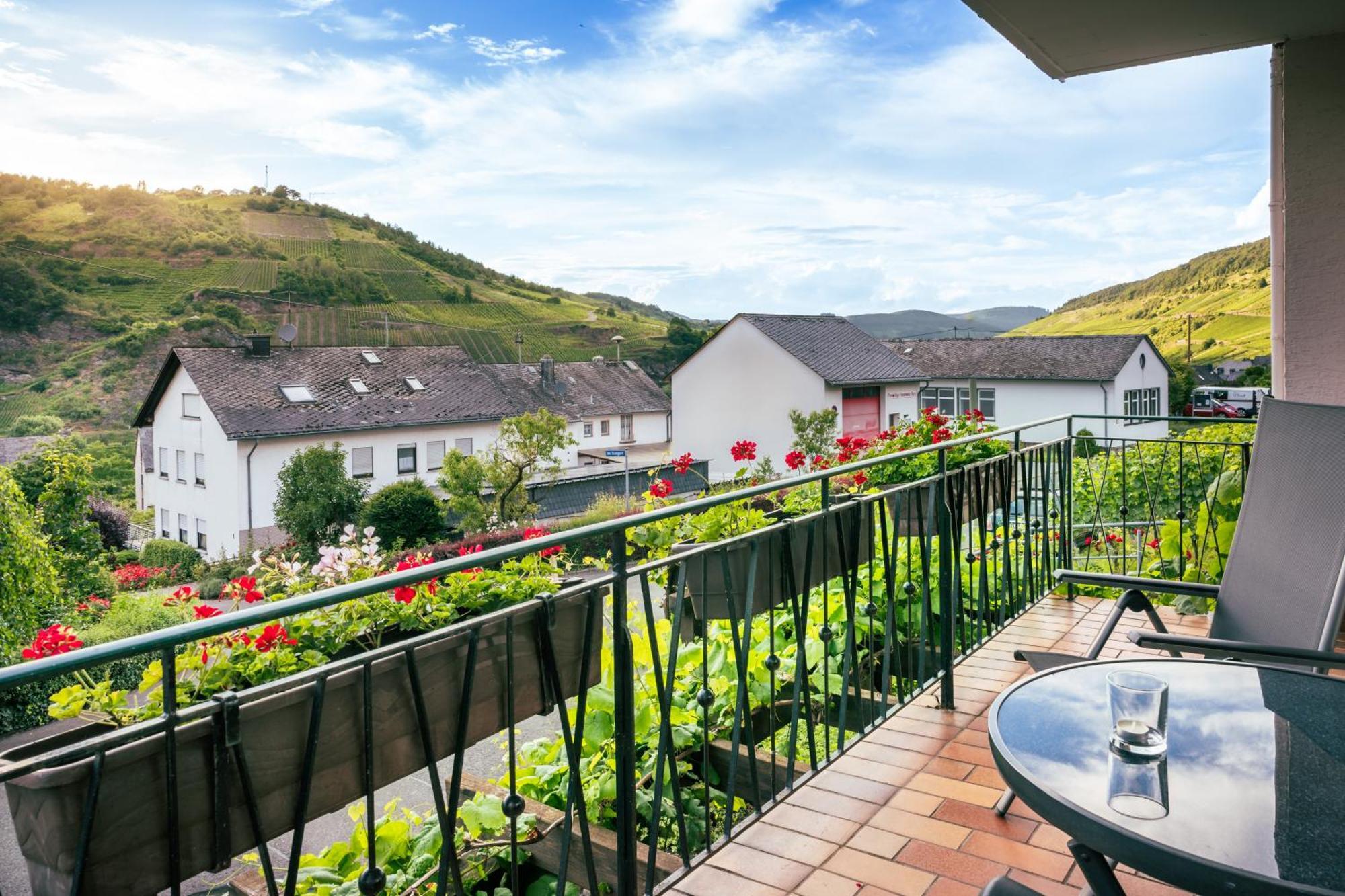 Ferienweingut Hirschen Schulstrasse Bed & Breakfast Burg  Luaran gambar