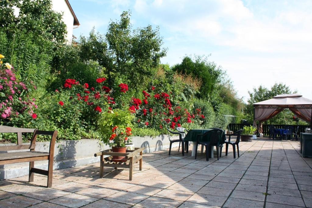 Ferienweingut Hirschen Schulstrasse Bed & Breakfast Burg  Luaran gambar