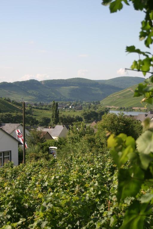 Ferienweingut Hirschen Schulstrasse Bed & Breakfast Burg  Luaran gambar