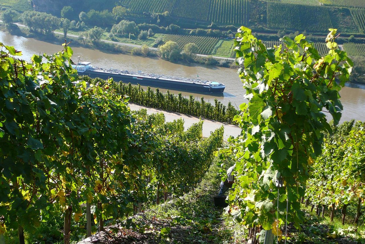 Ferienweingut Hirschen Schulstrasse Bed & Breakfast Burg  Luaran gambar