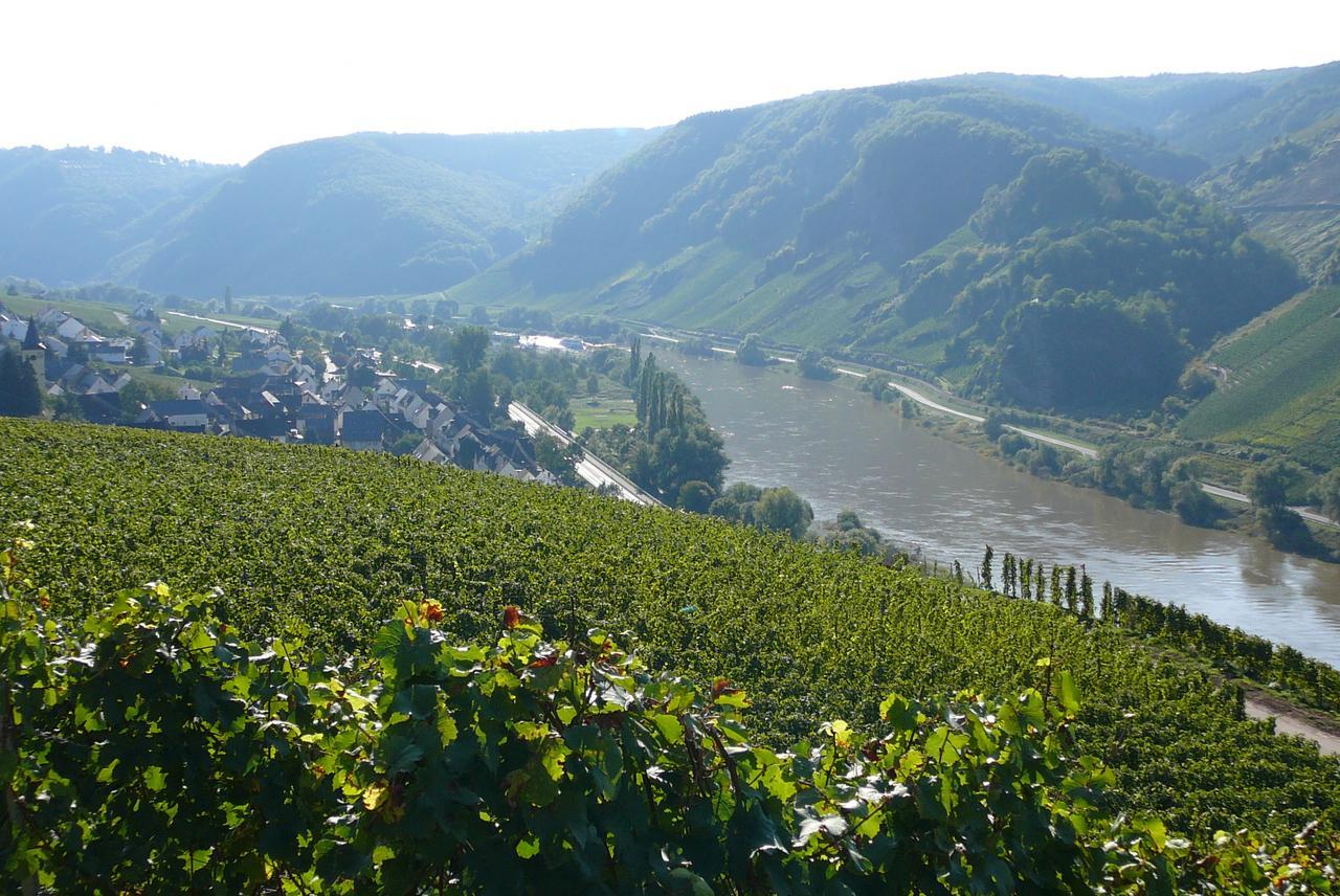 Ferienweingut Hirschen Schulstrasse Bed & Breakfast Burg  Luaran gambar